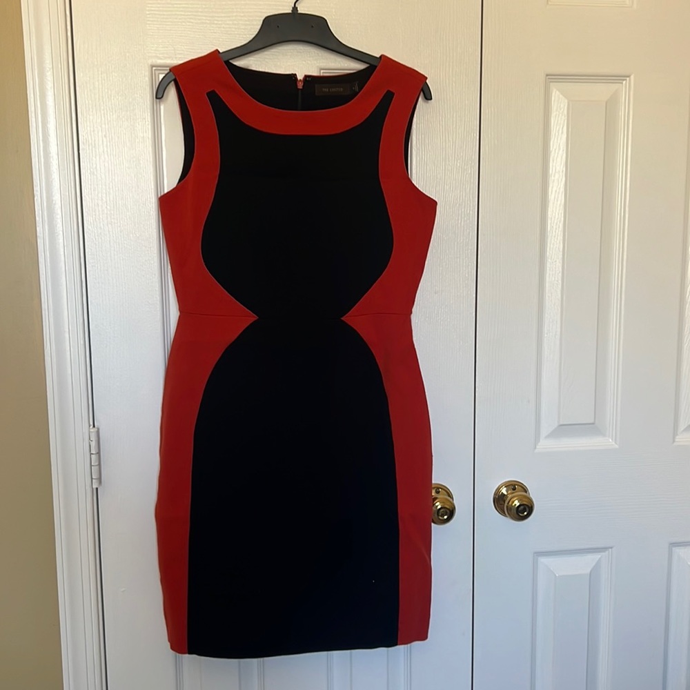 The Limited Professional Dress